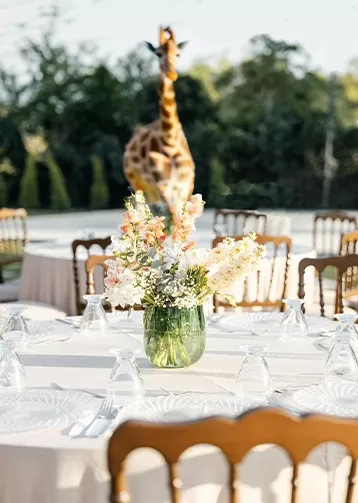 A dinner table set outside looking out towards an area with roaming giraffes.