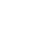 A simple line drawing of a target with concentric circles and an arrow hitting the center, symbolizing precision or success.