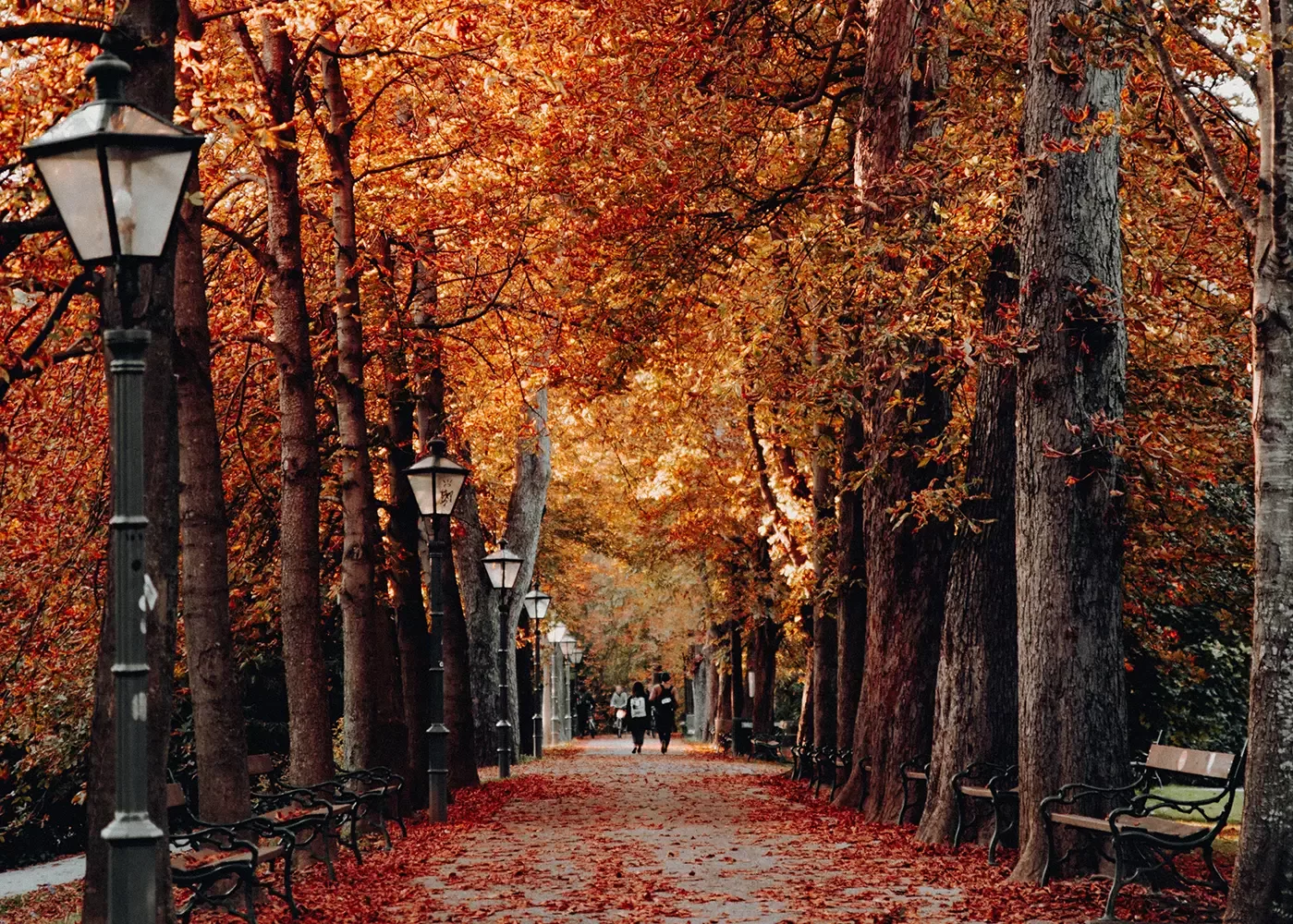 https://prod.uk.quintessentially.com/assets/general/Feature_2024-09-05-100302_kapm.webp