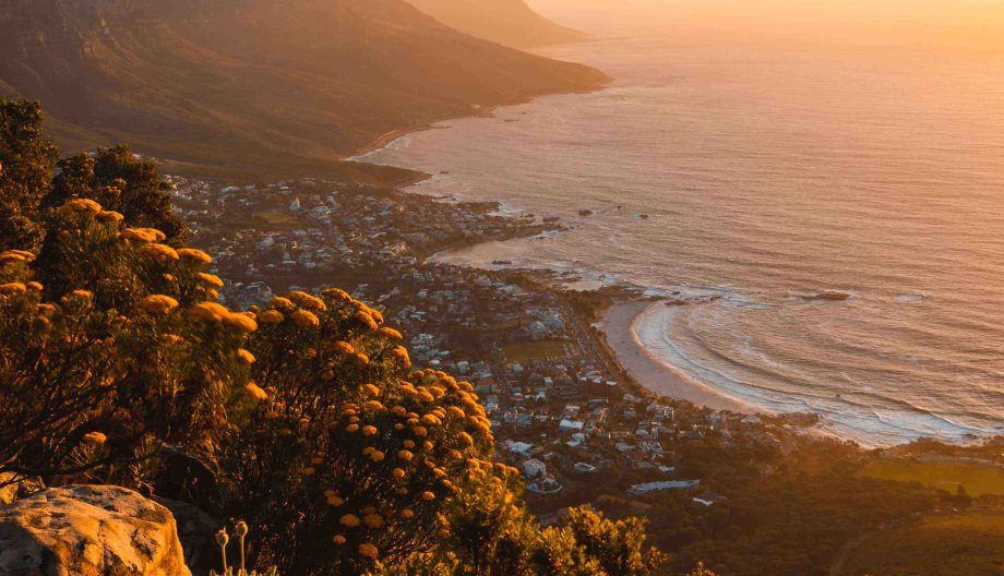 A scenic view of a coastal town at sunset, with golden light illuminating the ocean and nearby hills. Yellow flowers in the foreground add color, while waves gently lap the shore, creating an idyllic and serene atmosphere.