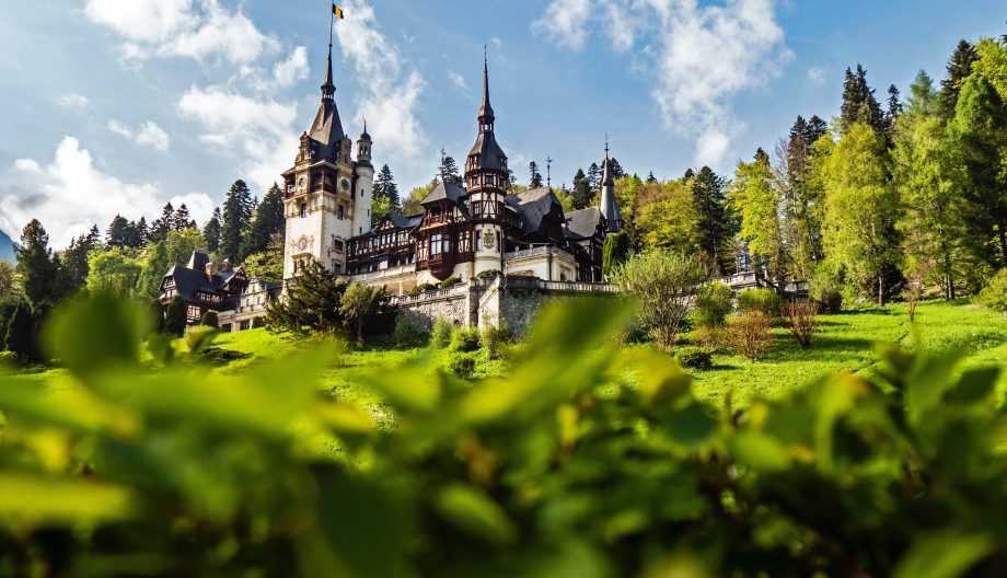 A majestic castle with tall spires surrounded by lush green trees and a bright blue sky. The foreground features vibrant greenery, enhancing the natural beauty of the scene.