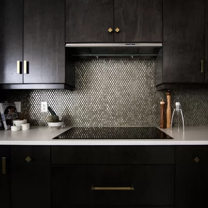 Centre view of dark décor kitchen