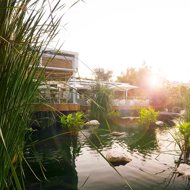 Beautiful misty lake with green plants with a hotel decking a the edge in the distance.