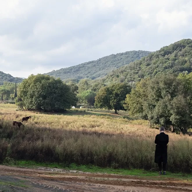 A person in a black coat stands at the edge of a field, looking at a landscape with trees and grazing horses. Rolling hills covered with dense green foliage rise in the background under a cloudy sky at The Buriano Estate.