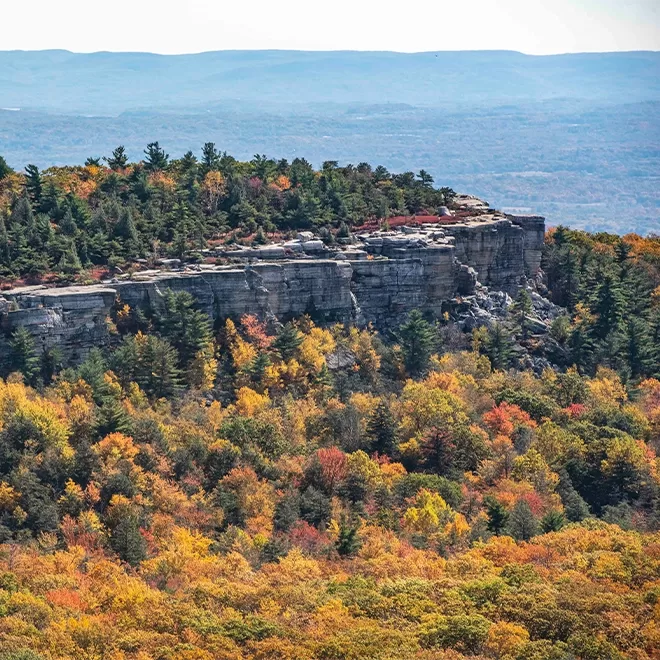 A scenic view of Minnewaska State Park Preserve's forested mountain range in autumn reveals vibrant foliage in shades of orange, yellow, and green. The rocky cliffside peeks through the dense trees, with distant mountains and a hazy sky completing this serene landscape.