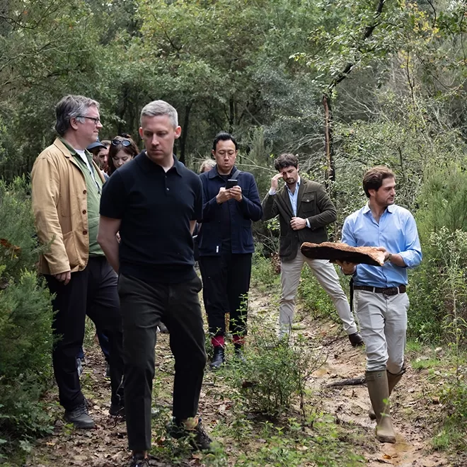 A group of six people walking through a forested area. One person at the front is holding a large piece of bark. Others behind are observing, with one person taking photos. The scene is surrounded by greenery and trees.