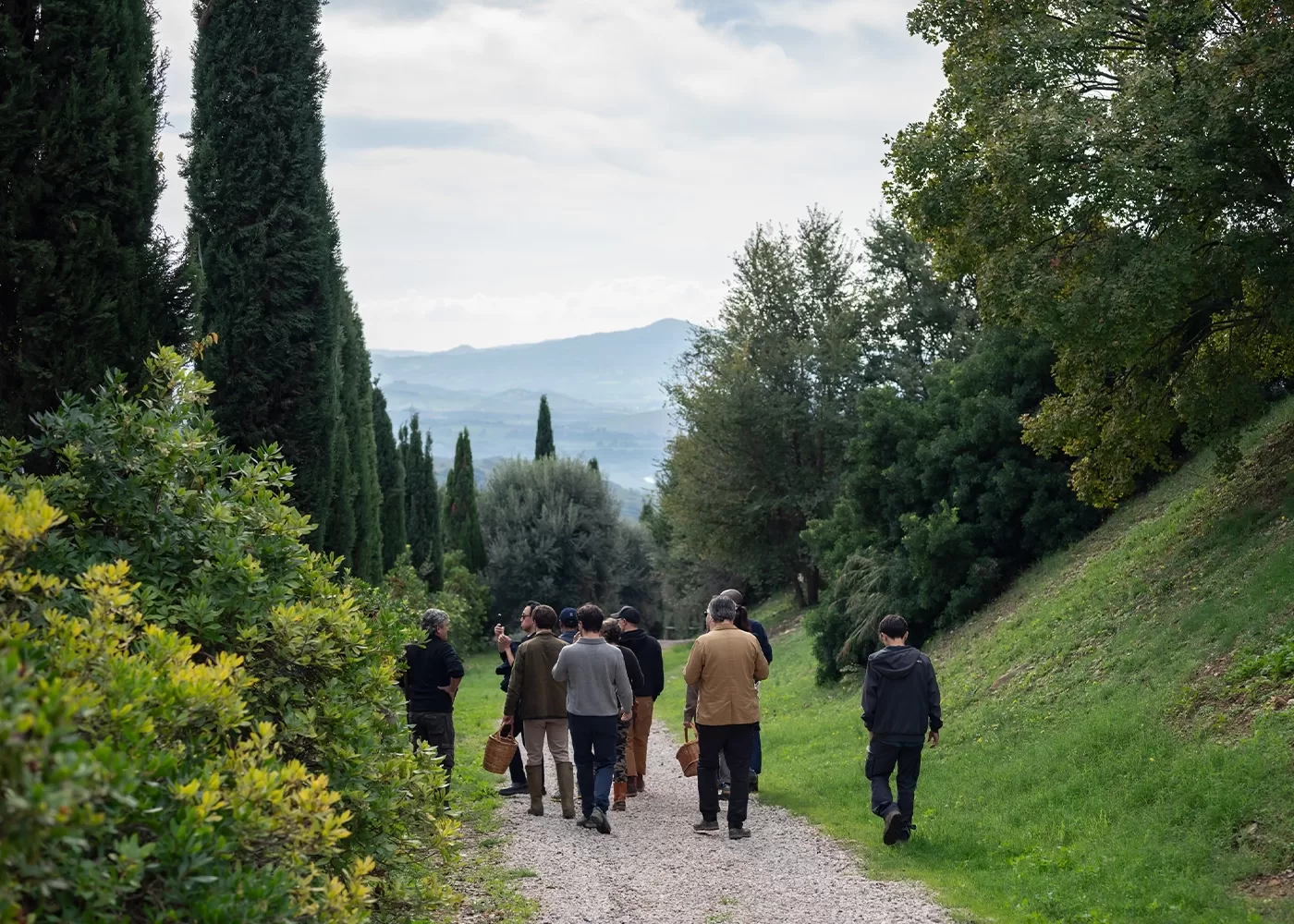 A group of people walk along a gravel path surrounded by lush greenery and tall trees. The path leads toward distant hills under a cloudy sky. The scene is peaceful and natural.