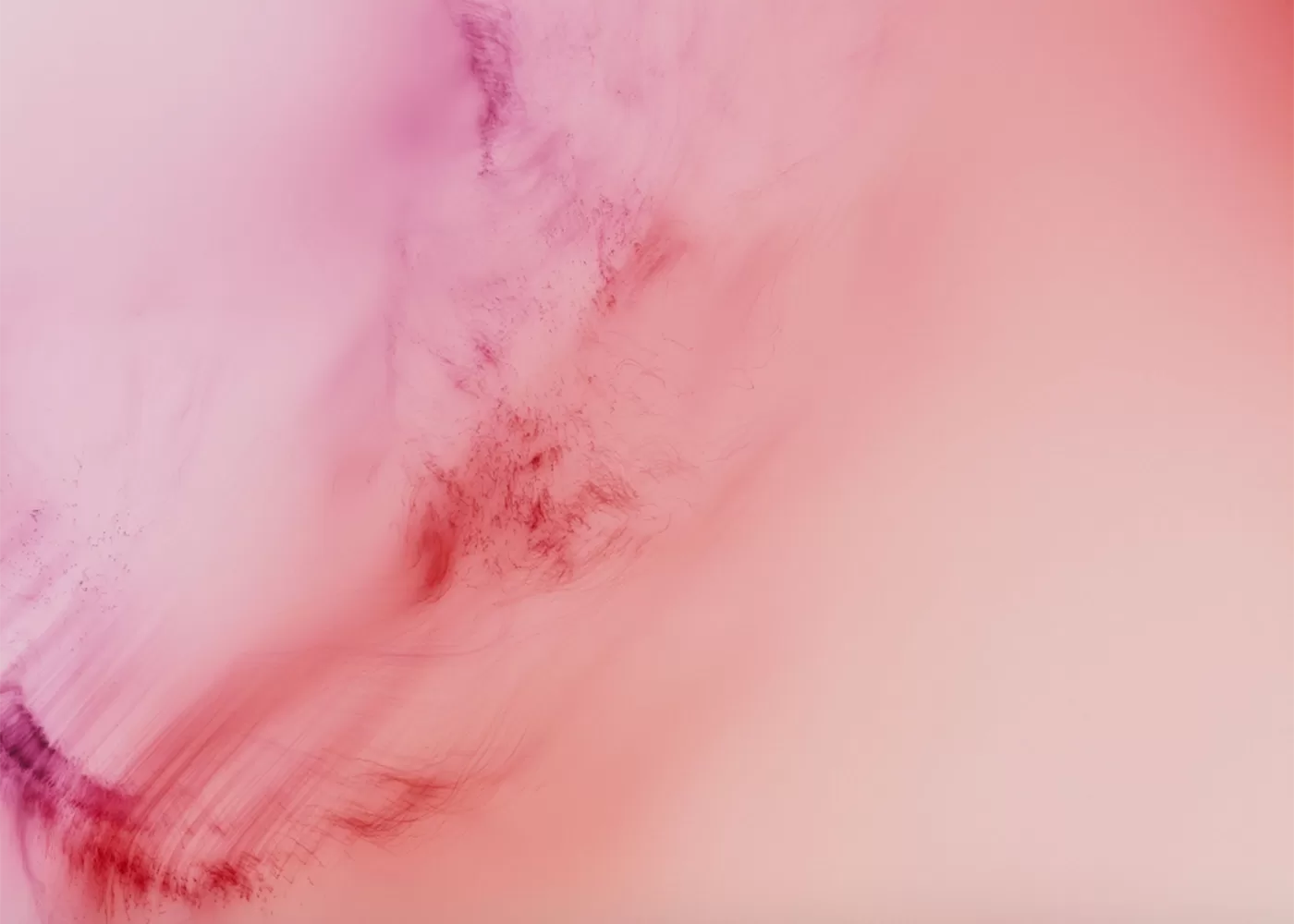 A soft, abstract image with swirling shades of pink and red blending together. The colors create a smooth, gradient effect, evoking a sense of calm and fluidity - Freischwimmer 233, 2021 by Wolfgang Tillmans.