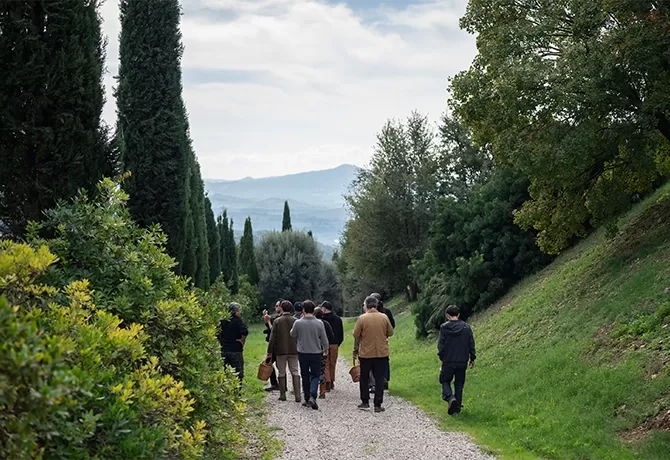 A group of people walk along a gravel path surrounded by lush greenery and tall trees. The path leads toward distant hills under a cloudy sky. The scene is peaceful and natural.