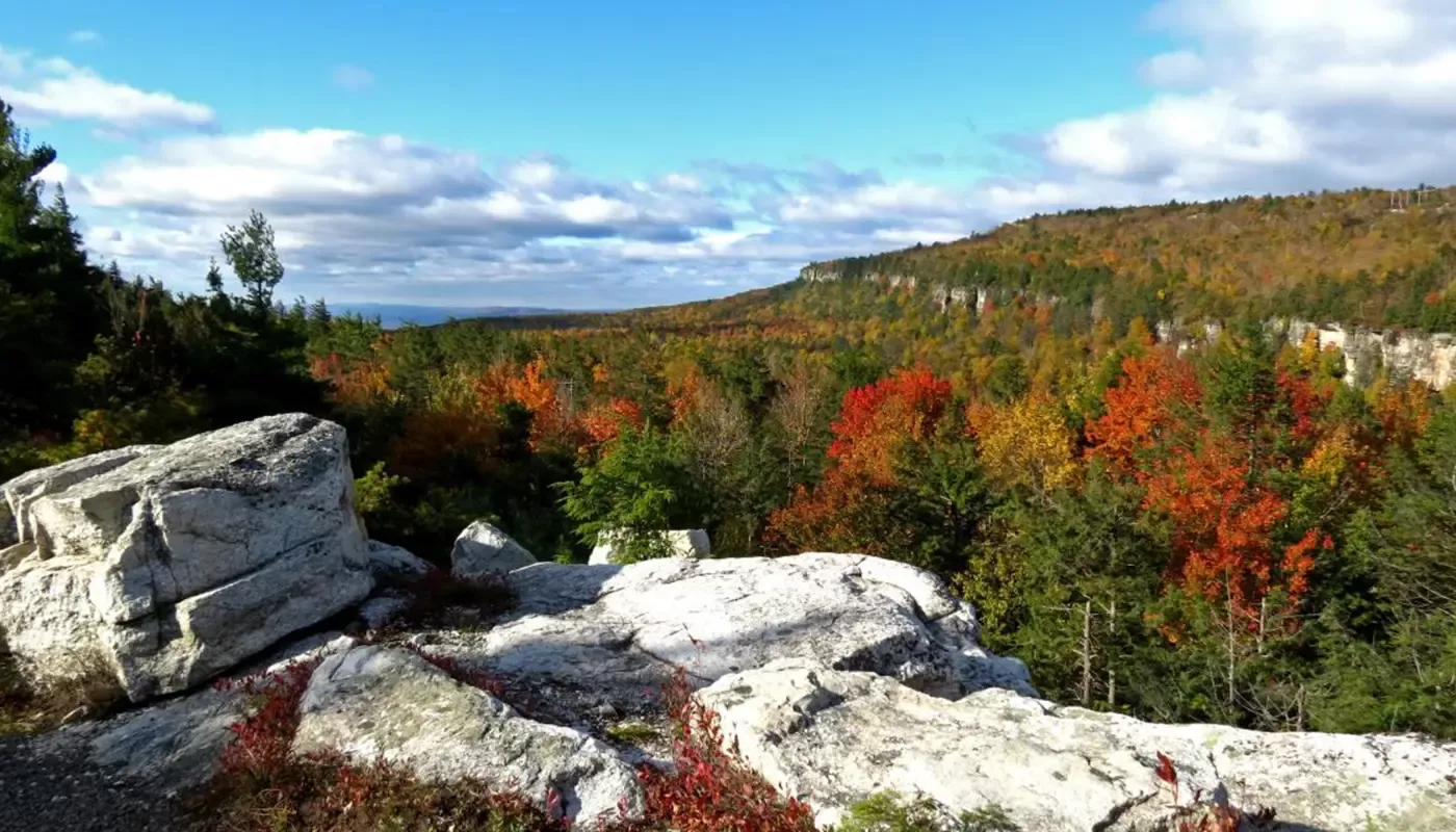 Fall foliage guide: Hudson Valley & the Catskills