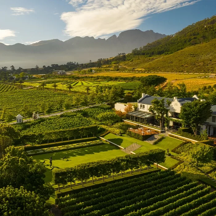 Aerial view of a vineyard estate with neat rows of grapevines, manicured lawns, white buildings, and mountains in the background under a partly cloudy sky.