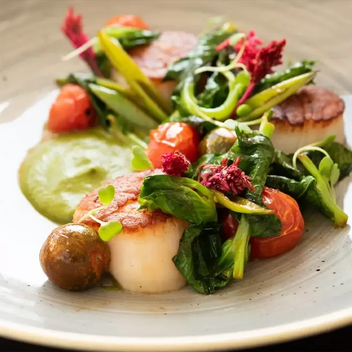 A plated dish featuring seared scallops, cherry tomatoes, fresh greens, and a green puree, arranged artfully on a light-colored plate.