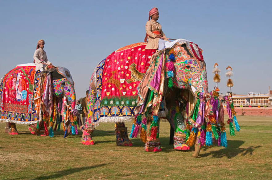 Elephant festival 2