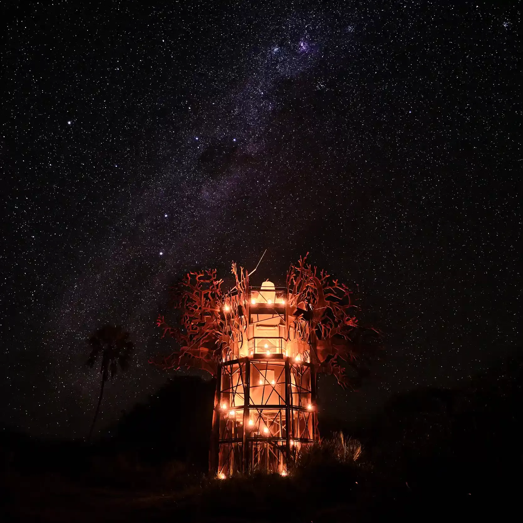 The Baobob Treehouse underneath the stars at Xigera Safari Lodge, Botswana